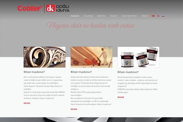 Site using Easy-stats-pro plugin