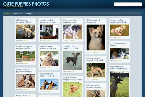 PinBlue theme site design template sample