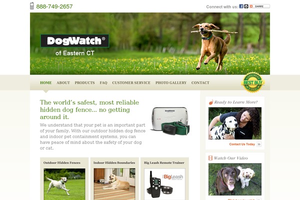 dogwatch theme websites examples