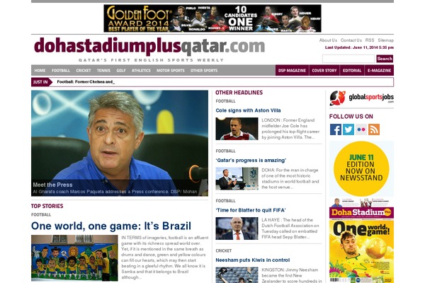 dsp theme websites examples