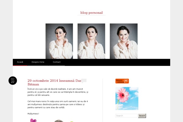 Reddle theme site design template sample