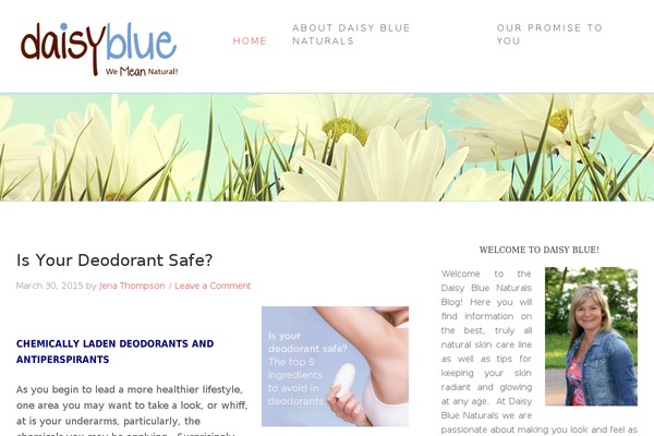 Beautiful Pro Theme theme site design template sample