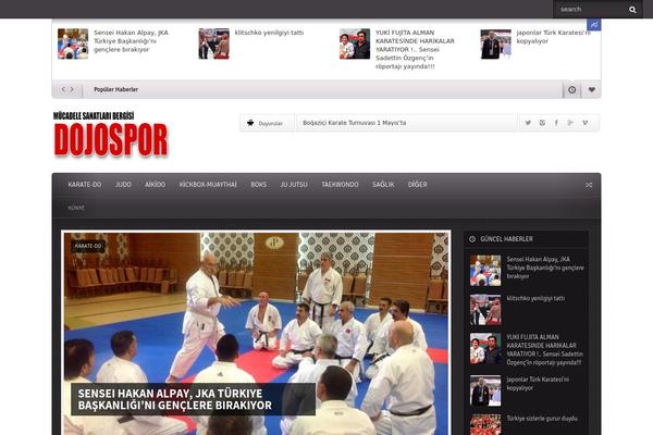 Dojo theme site design template sample