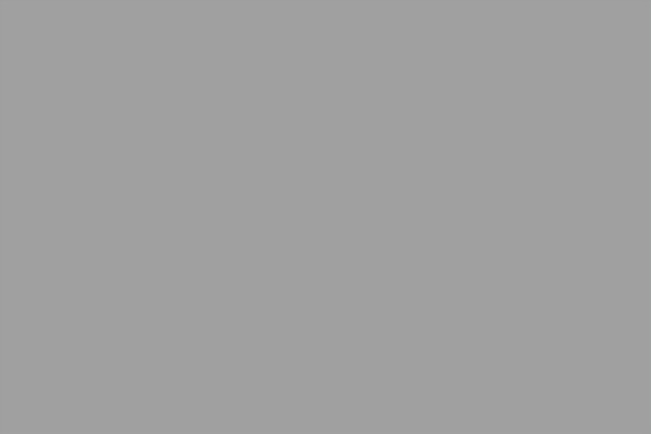 Newave theme site design template sample
