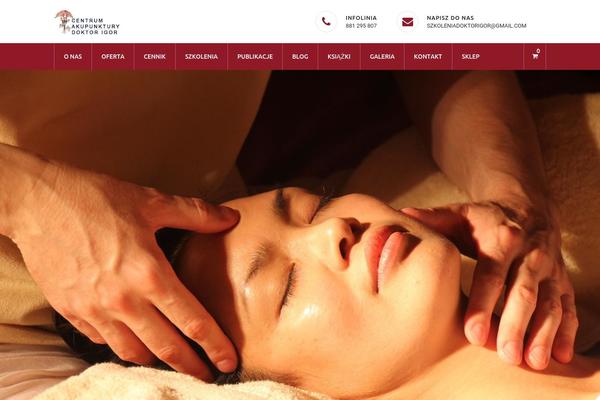Apicona theme site design template sample