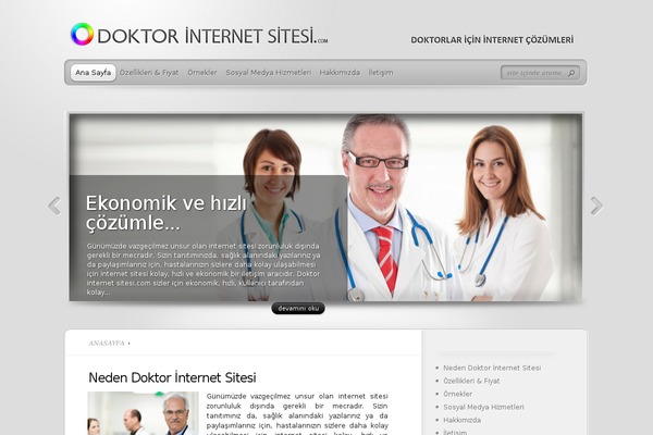TheProfessional theme site design template sample