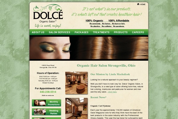 Dolce theme site design template sample