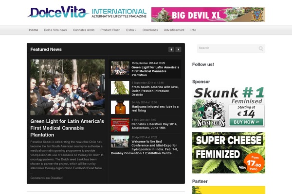 Litepress theme site design template sample