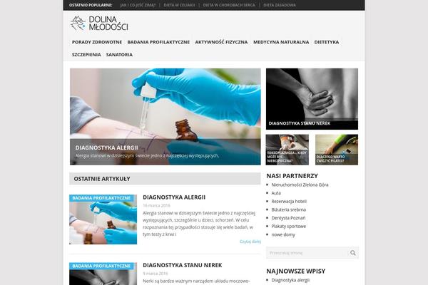 Point theme site design template sample