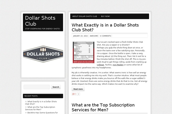 WordPress website example screenshot