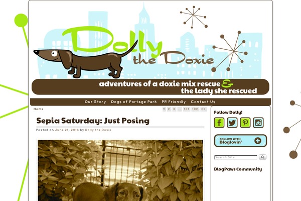 Site using Follow Button for Jetpack plugin