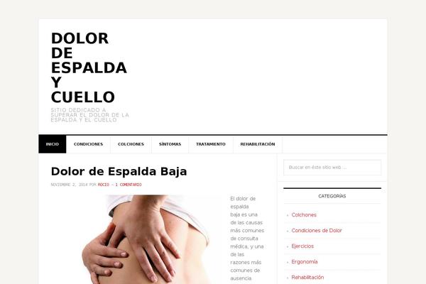 News Pro theme site design template sample