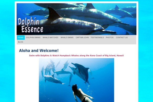 Prose theme site design template sample