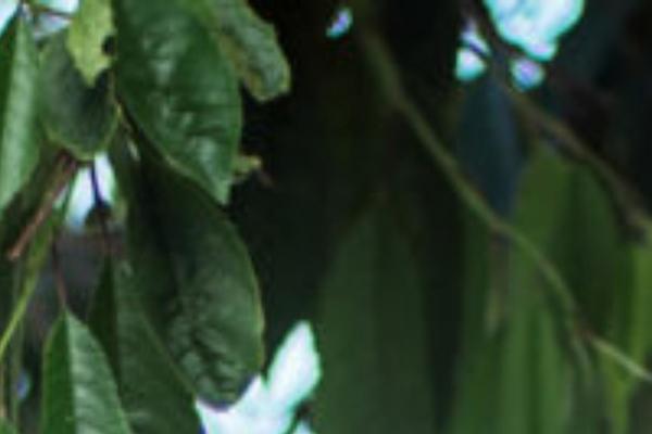 Site using Quick-gush plugin