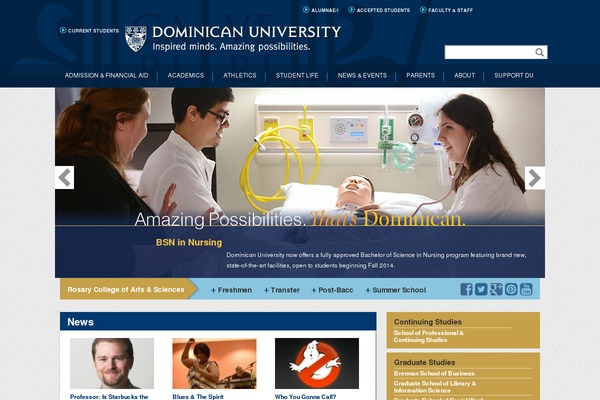 dominican theme websites examples