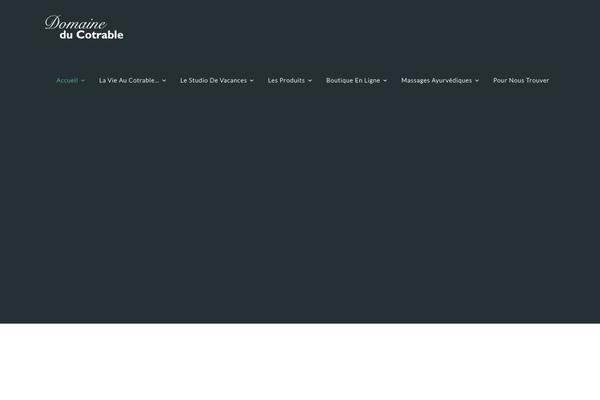 Pro-wise-mountain theme site design template sample
