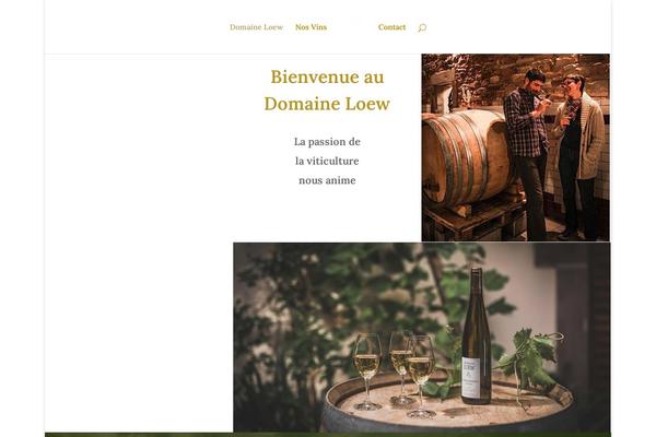 Site using Wp-social-feed plugin