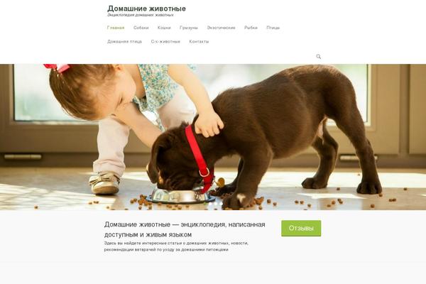 Adventurous theme site design template sample