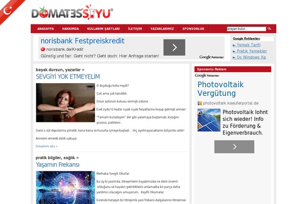 domatessuyu.com site used Newspapers