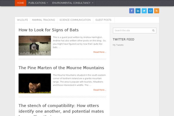 Truepixel theme site design template sample