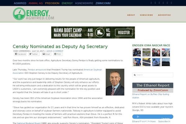 domesticfuel.com site used Pro-child-dfbooksite