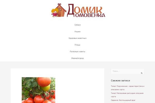 Astra theme site design template sample