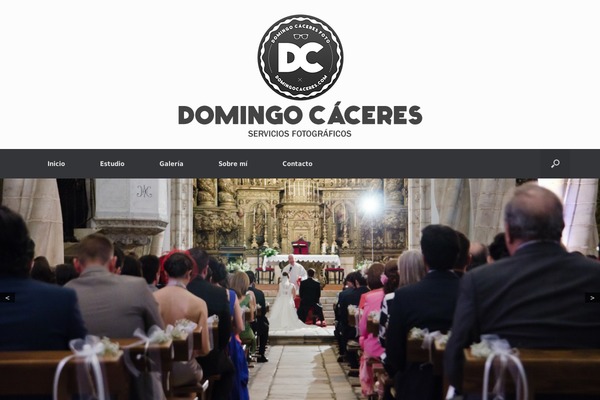 domingocaceres.com site used Vantage