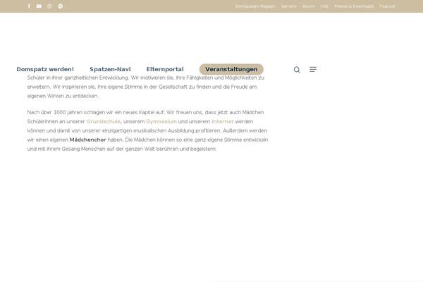 Site using Salient-portfolio plugin