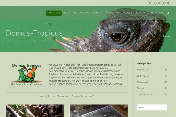 Site using Better WordPress Recent Comments plugin