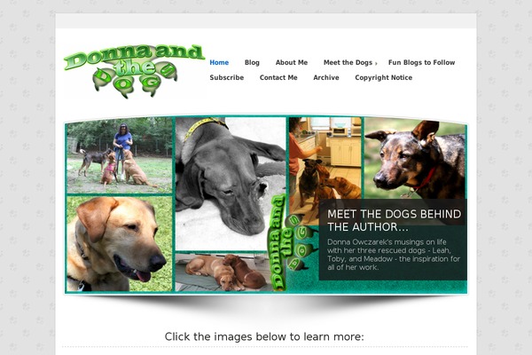 Accelerate_child theme site design template sample