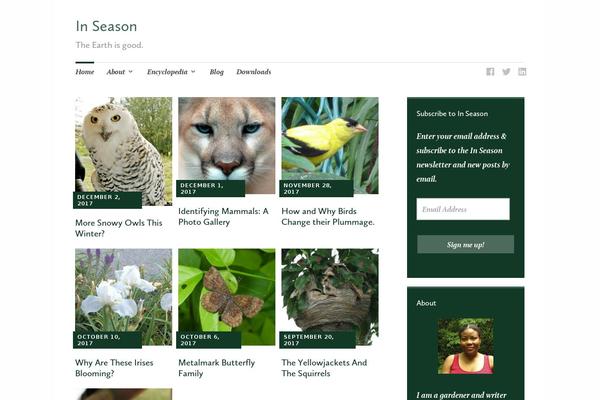 Site using WP Tab Widget plugin