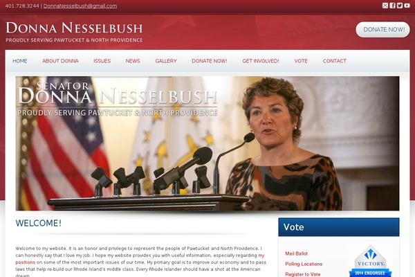 Candidate theme site design template sample