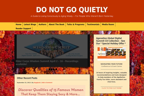 donotgoquietlythebook.com site used WP-Mysterious 1.04