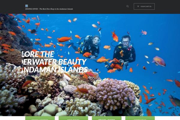 Diveit theme site design template sample