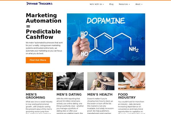 dopaminetriggers.com site used discover