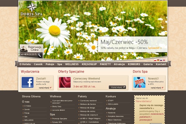 Site using Wp_plugin plugin