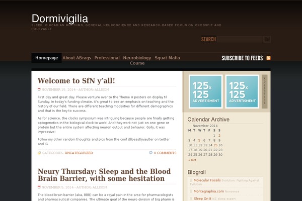 dormivigilia.com site used WP-Brown