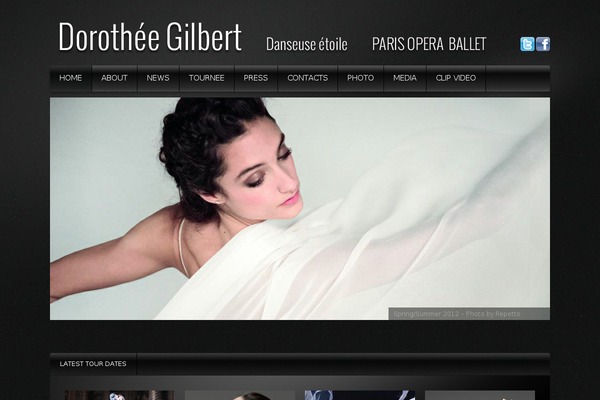 dorotheegilbert.com site used Theme1618