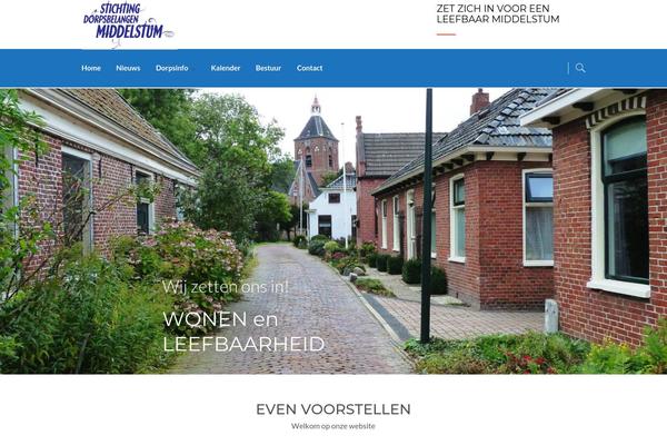 Site using Enfant-theme-extension plugin