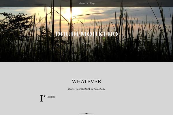 Book Lite theme site design template sample