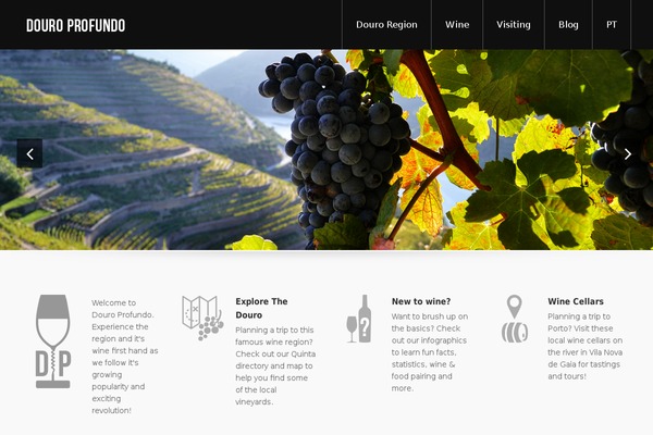 For The Cause theme site design template sample