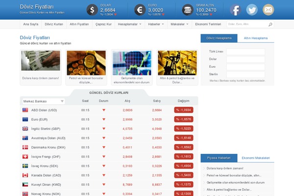 dfn theme websites examples