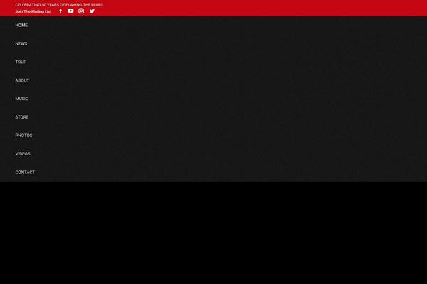 The7 Child theme site design template sample