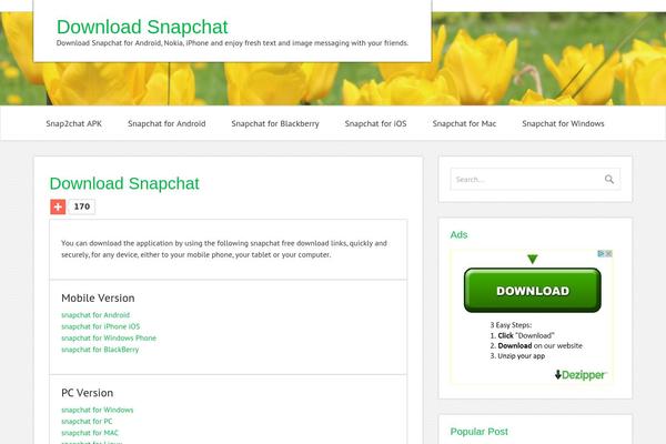 zeeMinty theme site design template sample
