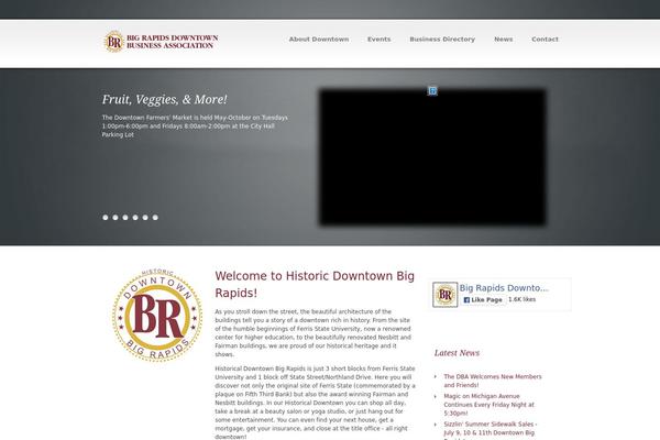 Accent theme site design template sample