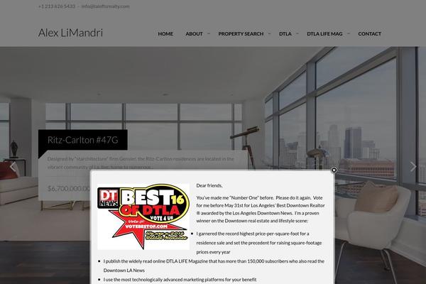 Realty theme site design template sample