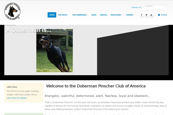 Site using Wired-impact-volunteer-management plugin