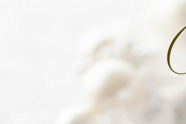 Site using Slider plugin