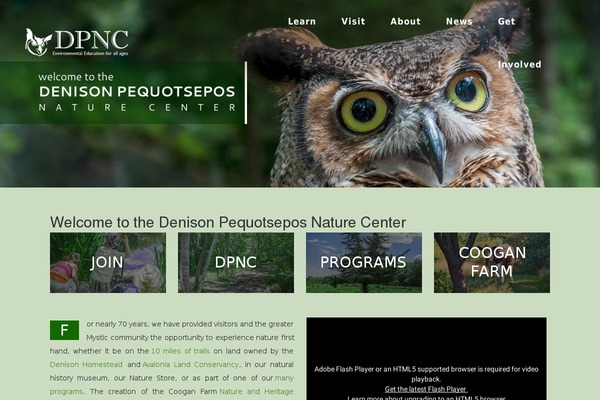 Central theme site design template sample