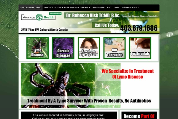 Site using Artbees-captcha plugin